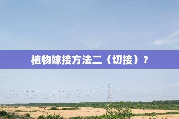 植物嫁接方法二（切接）？