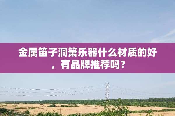 金属笛子洞箫乐器什么材质的好，有品牌推荐吗？