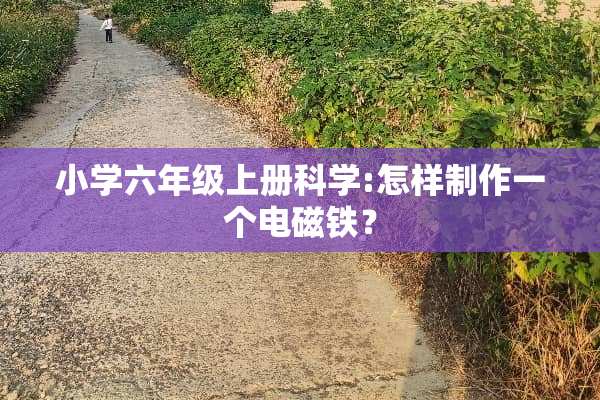 小学六年级上册科学:怎样制作一个电磁铁？