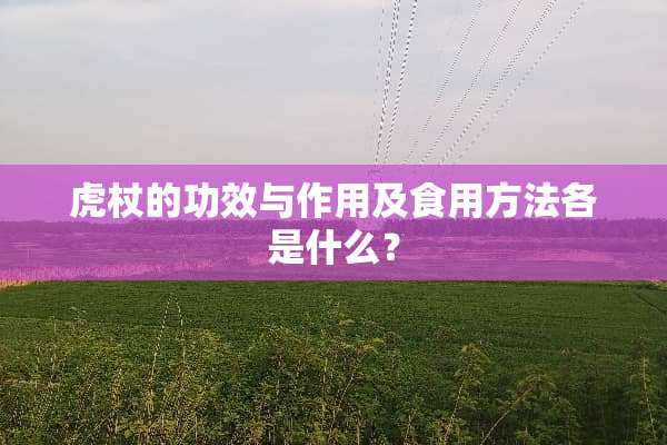 虎杖的功效与作用及食用方法各是什么？