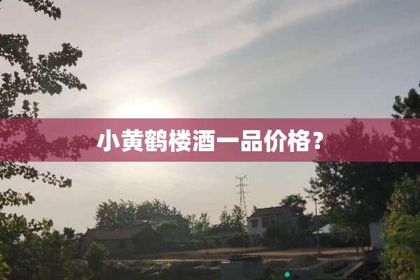 小黄鹤楼酒一品价格？