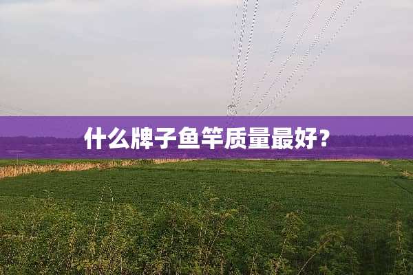 什么牌子鱼竿质量最好？