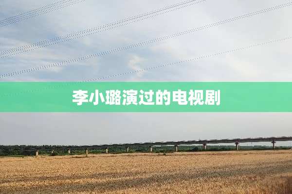 李小璐演过的电视剧