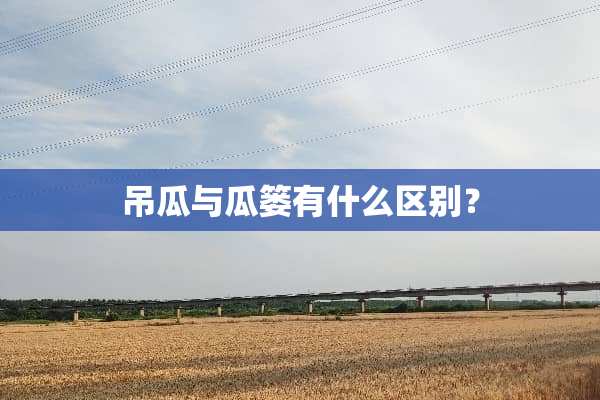 吊瓜与瓜篓有什么区别？