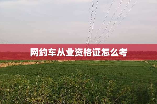 网约车从业资格证怎么考