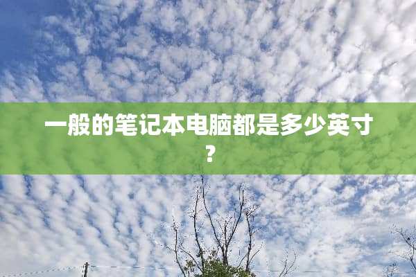 一般的笔记本电脑都是多少英寸？