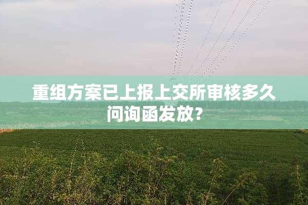 重组方案已上报上交所审核多久问询函发放？