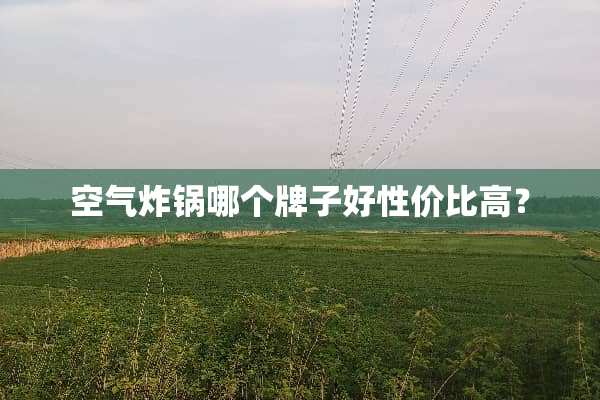 空气炸锅哪个牌子好性价比高？
