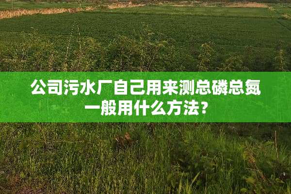 公司污水厂自己用来测总磷总氮一般用什么方法？