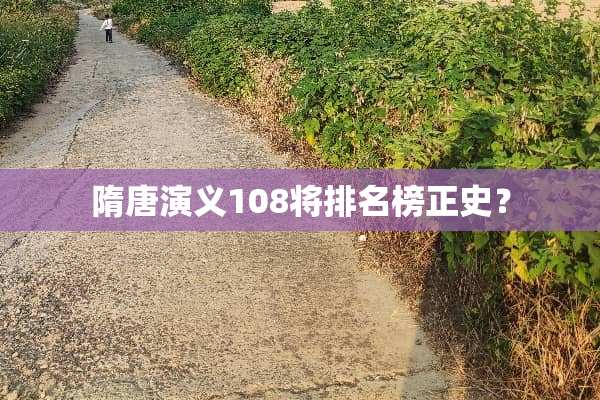 隋唐演义108将排名榜正史？
