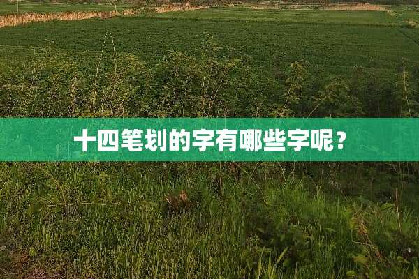 十四笔划的字有哪些字呢？