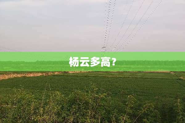杨云多高？