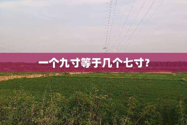 一个九寸等于几个七寸？