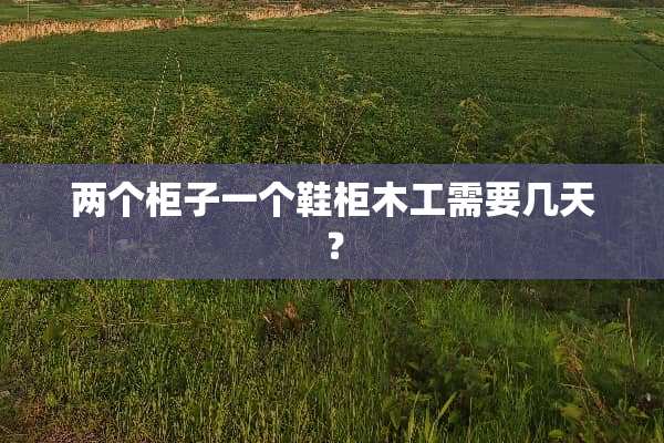 两个柜子一个鞋柜木工需要几天？