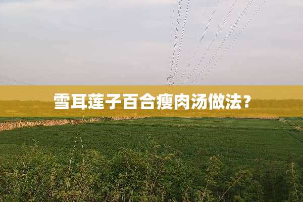 雪耳莲子百合瘦肉汤做法？