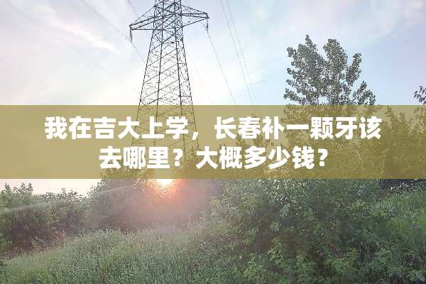 我在吉大上学，长春补一颗牙该去哪里？大概多少钱？