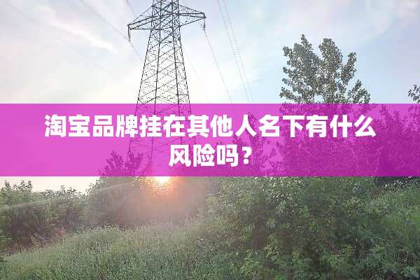 淘宝品牌挂在其他人名下有什么风险吗？