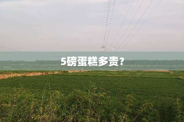 5磅蛋糕多贵？