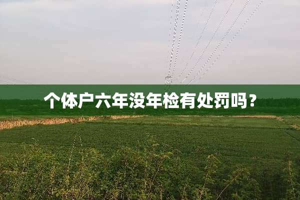 个体户六年没年检有处罚吗？