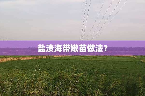 盐渍海带嫩苗做法？