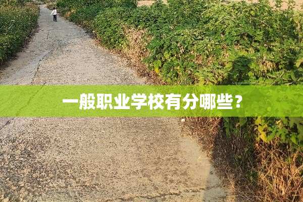 一般职业学校有分哪些？
