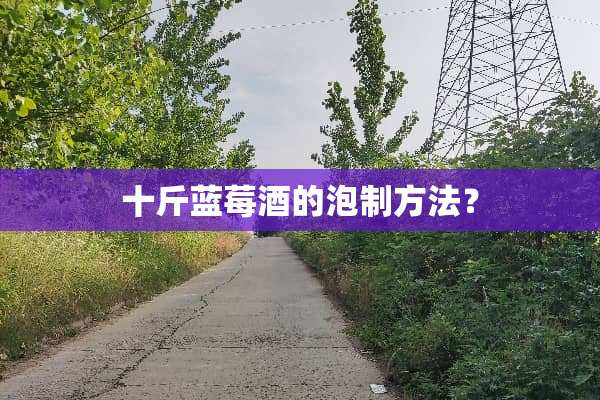 十斤蓝莓酒的泡制方法？