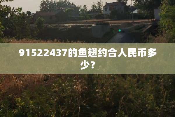 91522437的鱼翅约合人民币多少？
