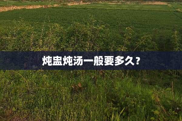炖盅炖汤一般要多久？