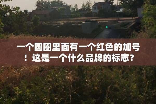 一个圆圈里面有一个红色的加号！这是一个什么品牌的标志？