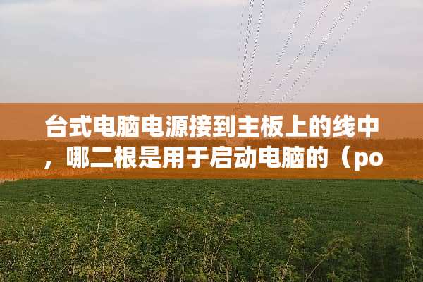 台式电脑电源接到主板上的线中，哪二根是用于启动电脑的（power sw）？