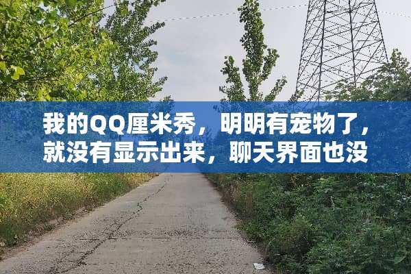 我的QQ厘米秀，明明有宠物了，就没有显示出来，聊天界面也没有显示出来，怎么这样？