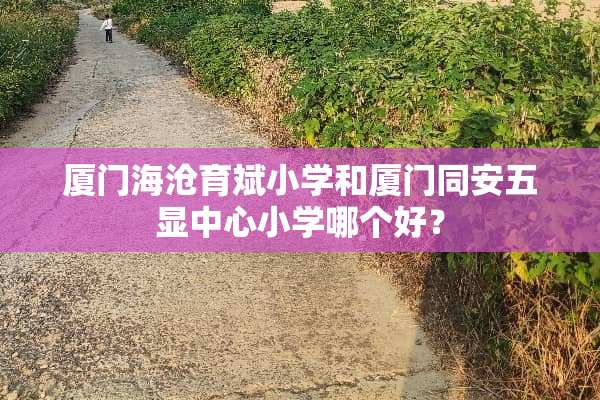 厦门海沧育斌小学和厦门同安五显中心小学哪个好？