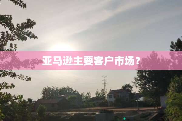 亚马逊主要客户市场？