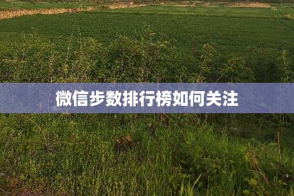 微信步数排行榜如何关注