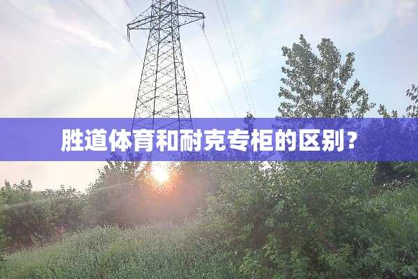 胜道体育和耐克专柜的区别？