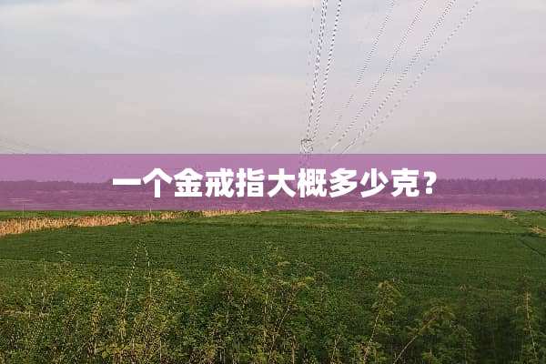 一个金戒指大概多少克？