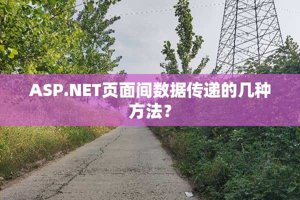 ASP.NET页面间数据传递的几种方法？