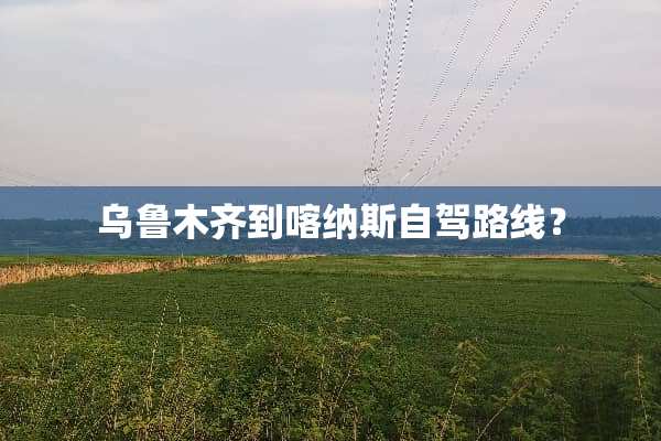 乌鲁木齐到喀纳斯自驾路线？