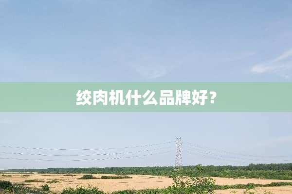 绞肉机什么品牌好？