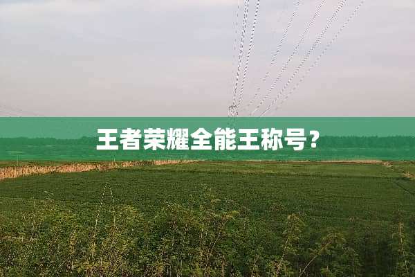 王者荣耀全能王称号？