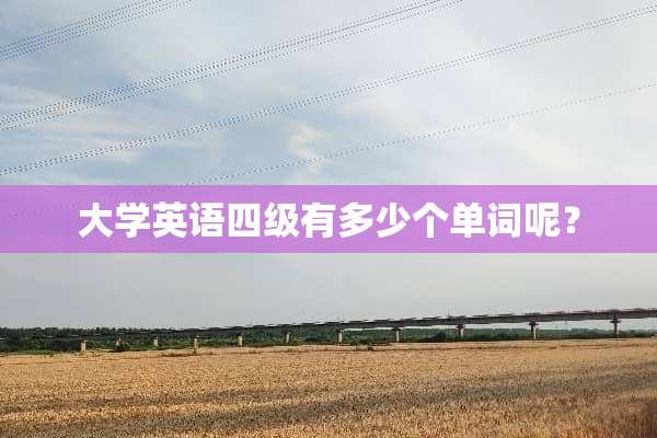 大学英语四级有多少个单词呢？