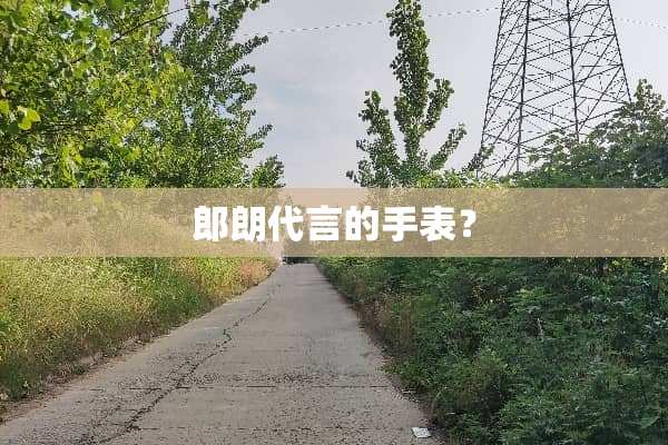 郎朗代言的手表？