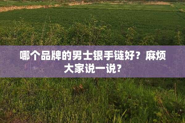 哪个品牌的男士银手链好？麻烦大家说一说？