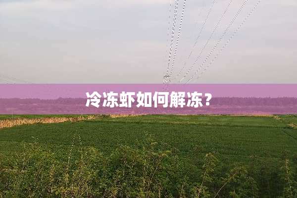 冷冻虾如何解冻？