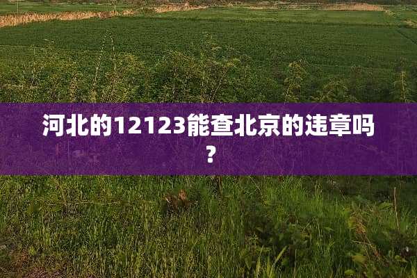 河北的12123能查北京的违章吗？