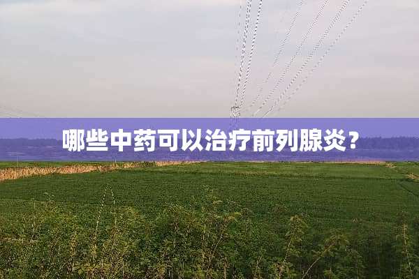 哪些中药可以治疗前列腺炎？