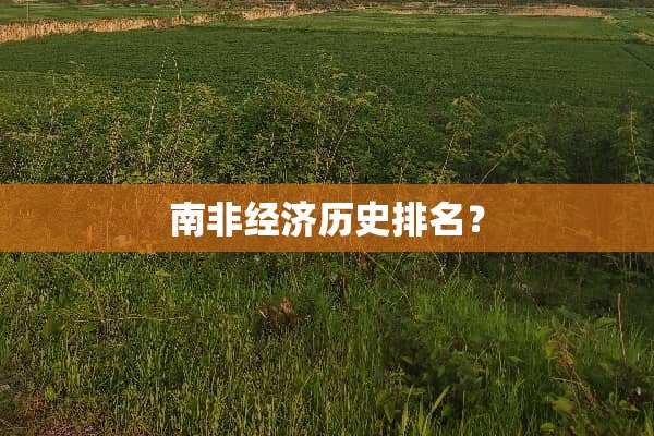 南非经济历史排名？