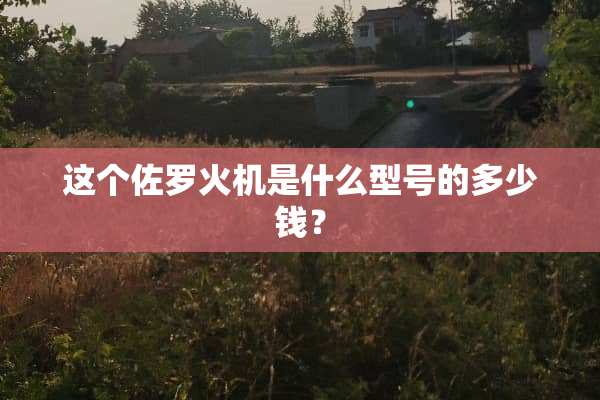 这个佐罗火机是什么型号的多少钱？