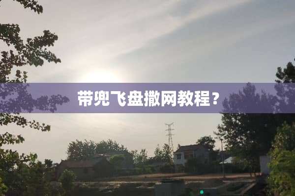 带兜飞盘撒网教程？