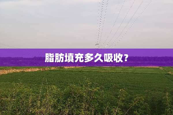 脂肪填充多久吸收？